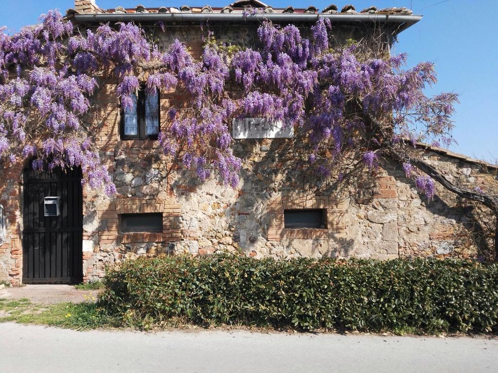 Villa Casa Vacanze Borgolozzi Sovicille Exterior foto